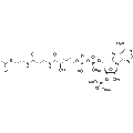 Acetyl Coenzyme A trisodium – Figure 1 of 1