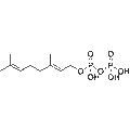 Geranyl diphosphate – Figure 1 of 1