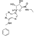 N6-Benzyl-5'-ethylcarboxamido adenosine – Figure 1 of 1
