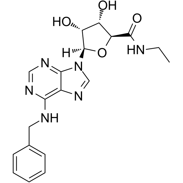 N6-Benzyl-5'-ethylcarboxamido adenosine – Figure 1 of 1
