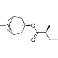Valtropine – Figure 1 of 1