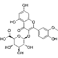 Isorhamnetin 3-glucuronide – Figure 1 of 1