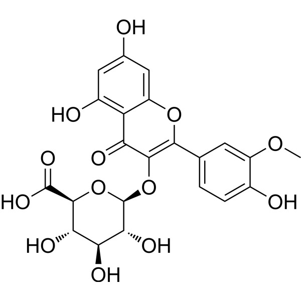 Isorhamnetin 3-glucuronide – Figure 1 of 1