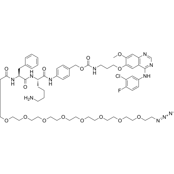 N3-PEG8-Phe-Lys-PABC-Gefitinib – Figure 1 of 1