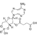 2'-O-Succinyl-cAMP – Figure 1 of 1
