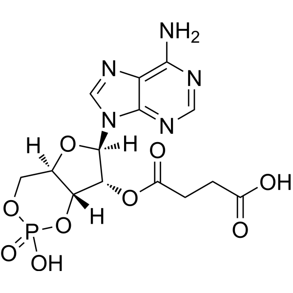 2'-O-Succinyl-cAMP – Figure 1 of 1