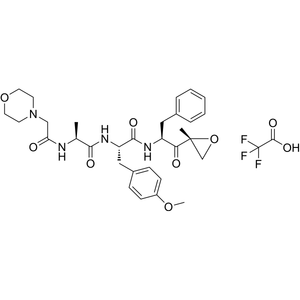 ONX-0914 TFA – Figure 1 of 1
