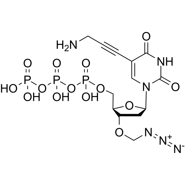 5-Propargylamino-3'-azidomethyl-dUTP – Figure 1 of 1