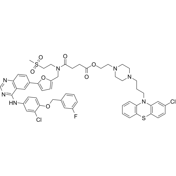 EGFR/CSC-IN-1 – Figure 1 of 1