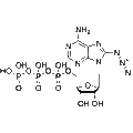 8-Azido-ATP – Figure 1 of 1