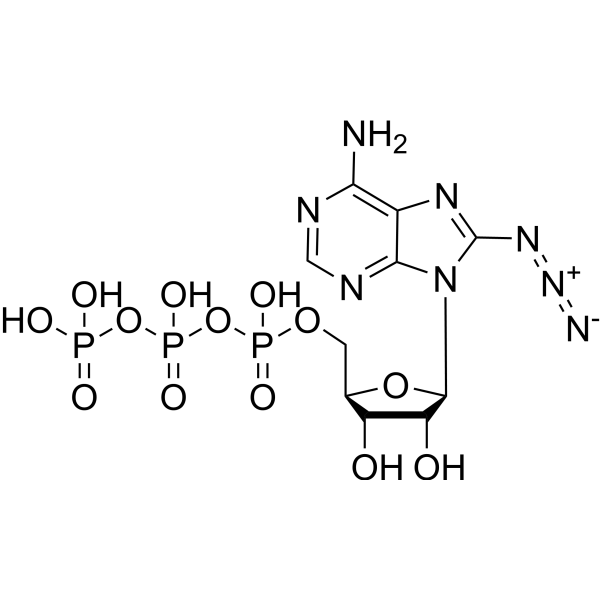 8-Azido-ATP – Figure 1 of 1