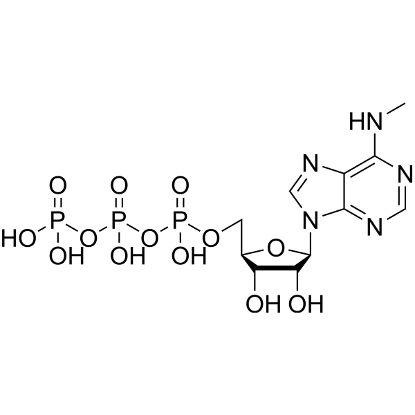 6-Me-ATP – Figure 1 of 1
