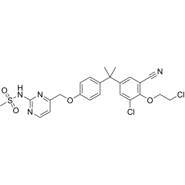 Masofaniten – Figure 1 of 1