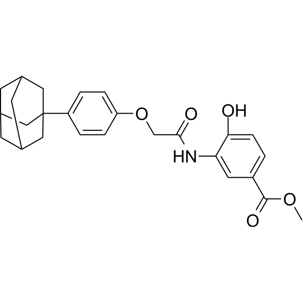 LW6 – Figure 1 of 1