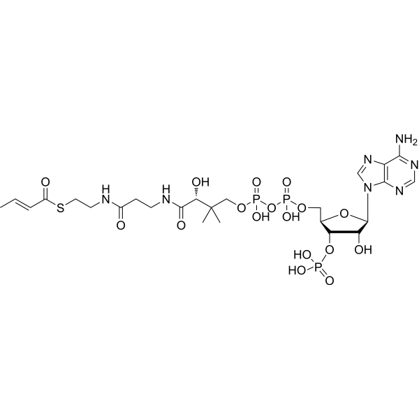 Crotonyl-CoA – Figure 1 of 1