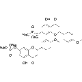 IP2 – Figure 1 of 1