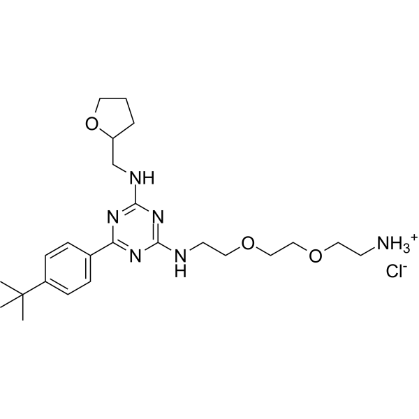 DATPT – Figure 1 of 1