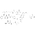 Y1R probe-1 – Figure 1 of 1