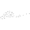 Boanmycin – Figure 1 of 1