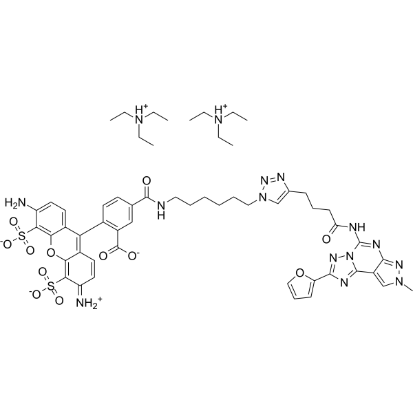 A2A/A3 AR antagonist-1 – Figure 1 of 1