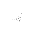 N-Stearoylsphingomyelin – Figure 1 of 1