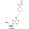 CamA-IN-1 – Figure 1 of 1