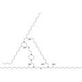 C14-4 – Figure 1 of 1