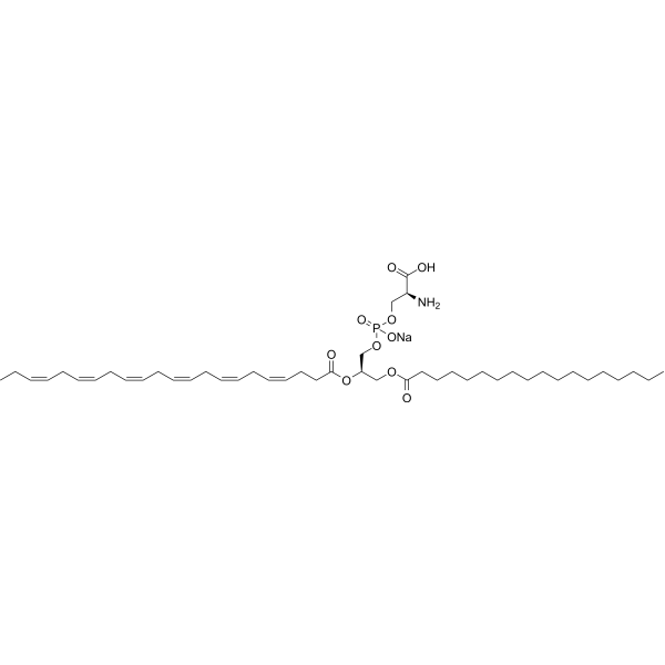 18:0,22:6 PS sodium – Figure 1 of 1