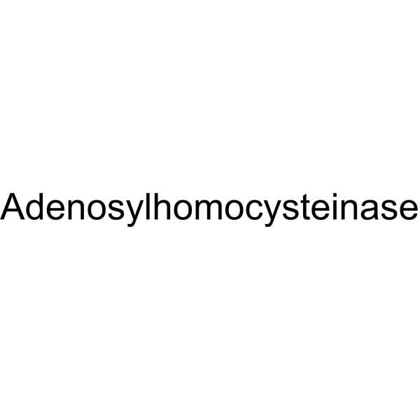 Adenosylhomocysteinase – Figure 1 of 1