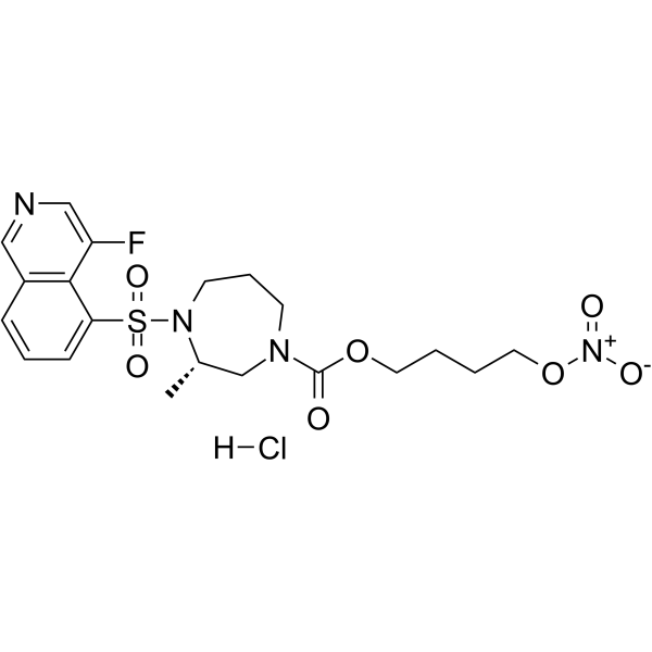ROCK-IN-4 – Figure 1 of 1