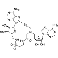 LmNADK1-IN-1 – Figure 1 of 1