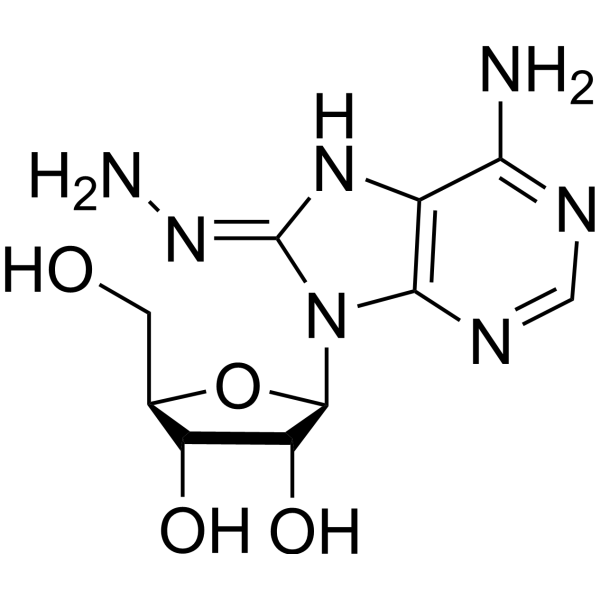 8-Hydrazinoadenosine – Figure 1 of 1