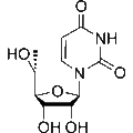 5'(R)-C-Methyluridine – Figure 1 of 1