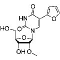 5-Furan-2-yl-2'-O-methyl uridine – Figure 1 of 1