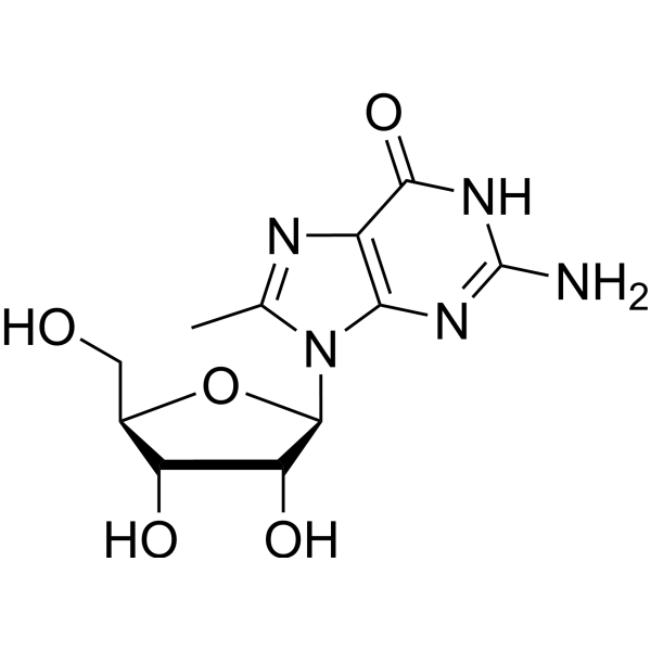 8-Methylguanosine – Figure 1 of 1