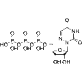 6-Azauridine triphosphate – Figure 1 of 1