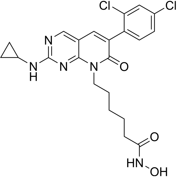 ZMF-23 – Figure 1 of 1