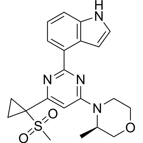 AZ20 – Figure 1 of 1