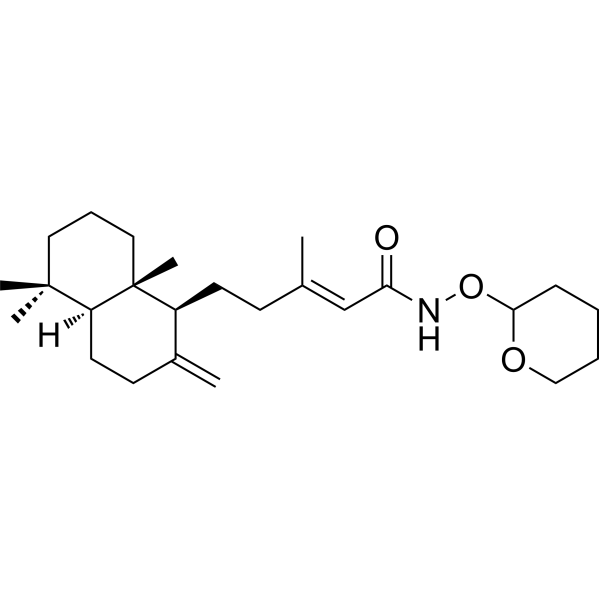 FAK-IN-11 – Figure 1 of 1