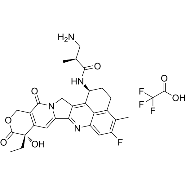 NH2-methylpropanamide-Exatecan TFA – Figure 1 of 1
