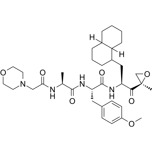 LU-002i – Figure 1 of 1