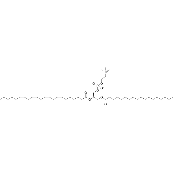 1-Stearoyl-2-Adrenoyl-sn-glycero-3-PC – Figure 1 of 1