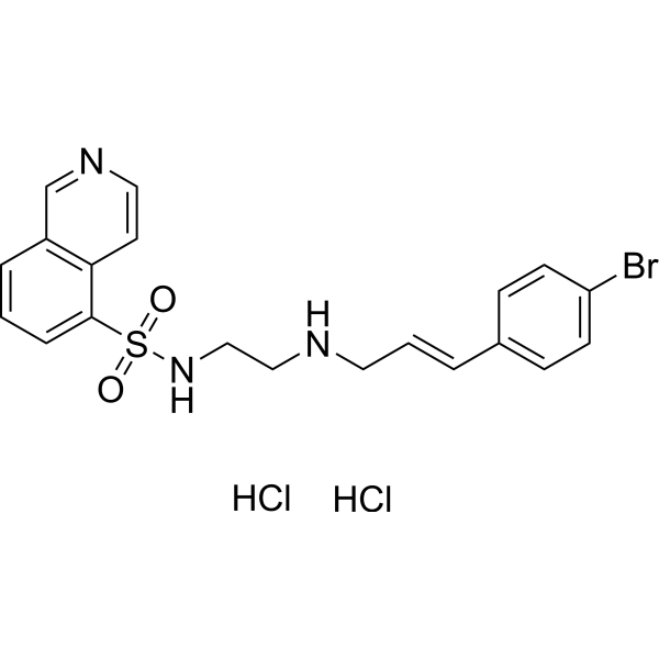 H-89 dihydrochloride – Figure 1 of 1