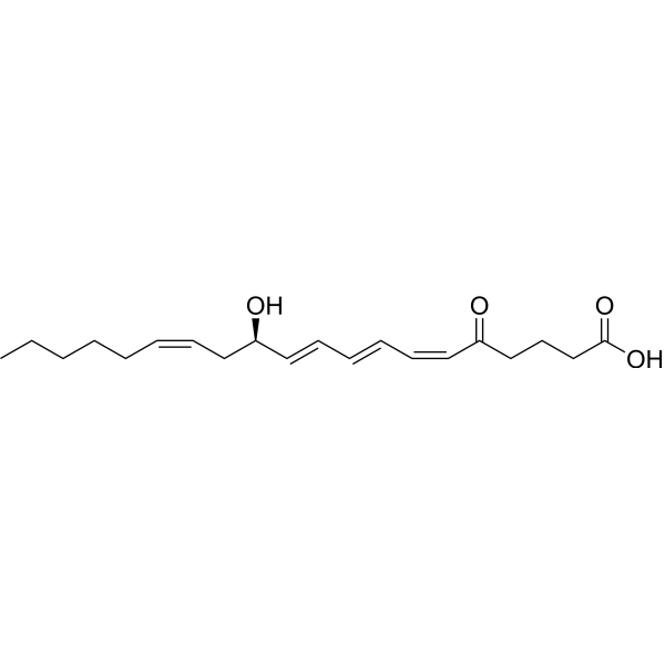 5-Oxo leukotriene B4 – Figure 1 of 1