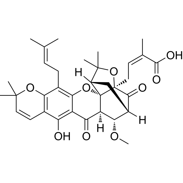 Moreollic acid – Figure 1 of 1