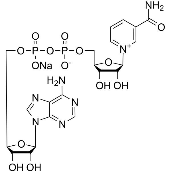 NAD sodium – Figure 1 of 1