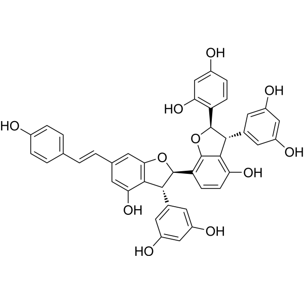 Gnetumontanin B – Figure 1 of 1