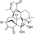 Shikokianin – Figure 1 of 1