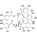 Vescalagin – Figure 1 of 1
