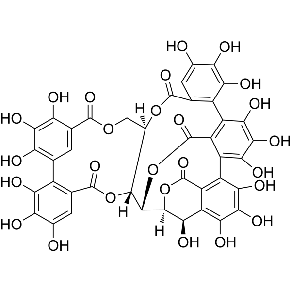 Vescalagin – Figure 1 of 1